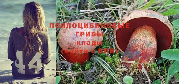 тгк Аркадак