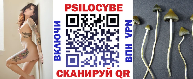 наркотики  Строитель  Псилоцибиновые грибы прущие грибы 
